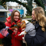 Almanya’da Sosyal Hayat: Arkadaşlık Kurmak Neden Zor?